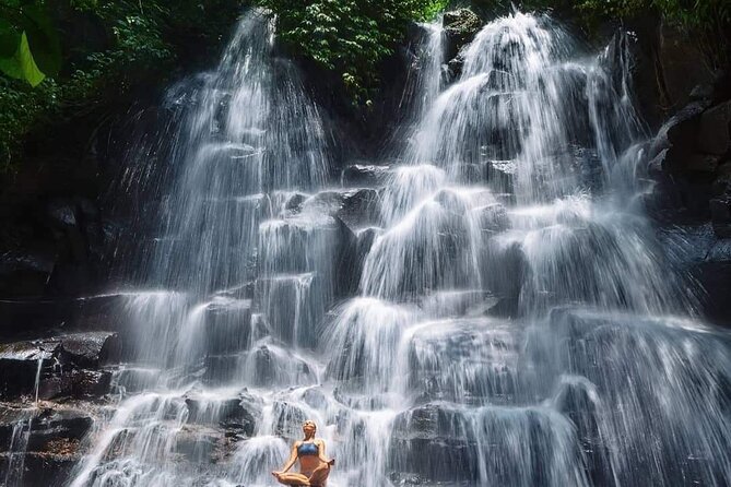 Ubud Customized Full Day Tour - Visit Most favorite In Ubud - How the Custom Full-Day Format Actually Feels