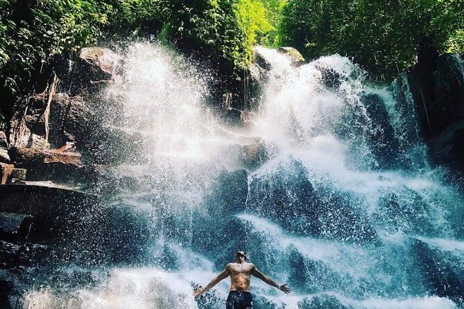 Ubud Customized Full Day Tour - Visit Most favorite In Ubud - Jungle Swing: Fun if It Fits Your Group