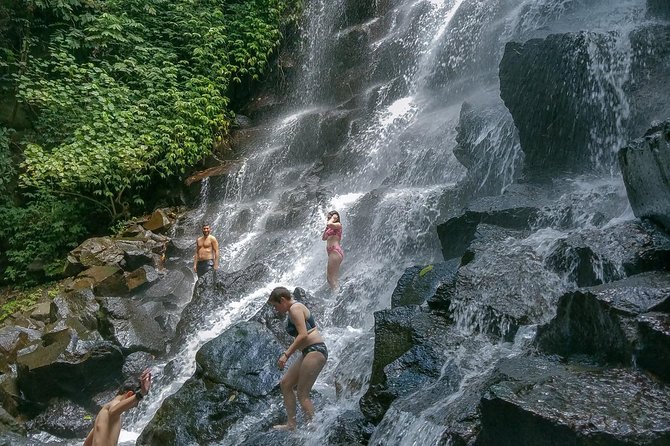 Ubud Customized Private Tour - Tegalalang rice terraces: classic subak views plus optional swing time
