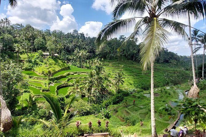 Ubud Customized Private Tour - ATV time in Ubud: when you want action inside a sightseeing day