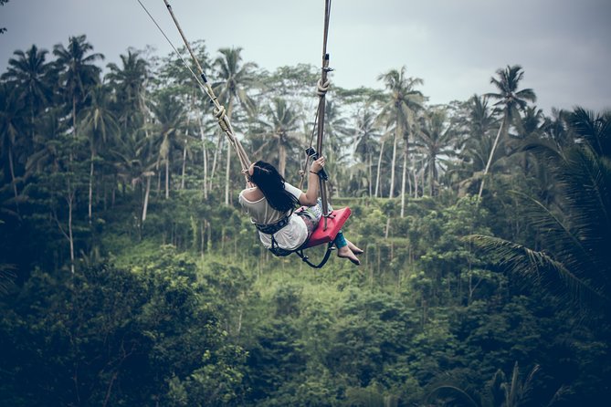 Ubud Customized Private Tour - Tegenungan Waterfall: dramatic stairs, quick viewpoints, and doable energy