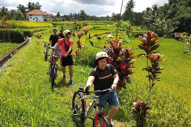 Ubud Cycling Tour - Food Included: Breakfast, Balinese Lunch, and Vegetarian Options