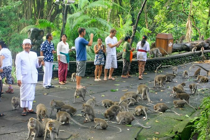 Ubud Day Tour: Sacred Monkey Forest, Tegenungan Waterfall, Rice Terrace - Ubud Art Market and Ubud Palace: Souvenirs and a Quick Royal Stop