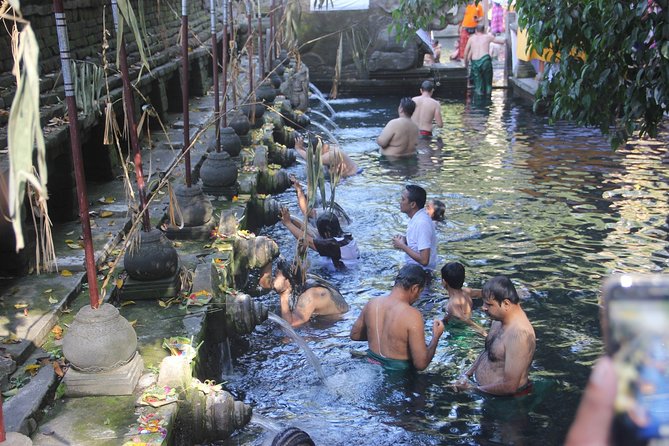 Ubud Day Tour - Top Things to do in Ubud + Local Ubud Guide - Tegalalang Rice Terrace: short trekking routes and classic Ubud views