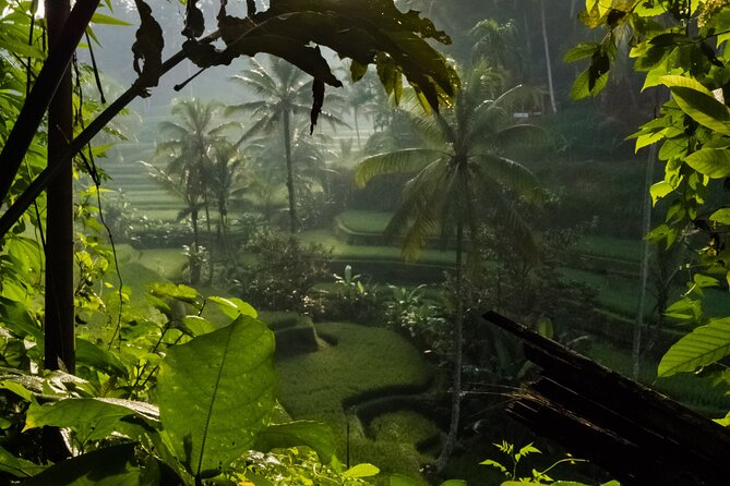 Ubud Day Tour - Top Things to do in Ubud + Local Ubud Guide - Celuk Village for gold and silver: crafts at a village scale