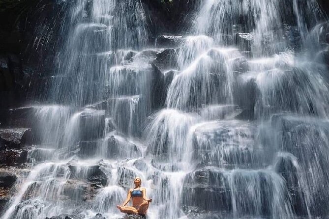 Ubud Day Tour : Waterfall, Temple and Local Night Market Tour - Price and Logistics: Why $21 Can Actually Make Sense