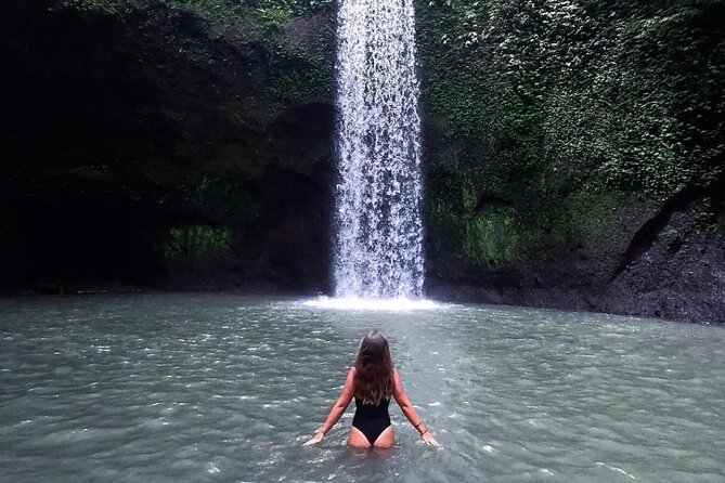 Ubud Day Tour : Waterfall, Temple and Local Night Market Tour - Sacred Monkey Forest Sanctuary: Rainforest Giants and 700 Plus Macaques