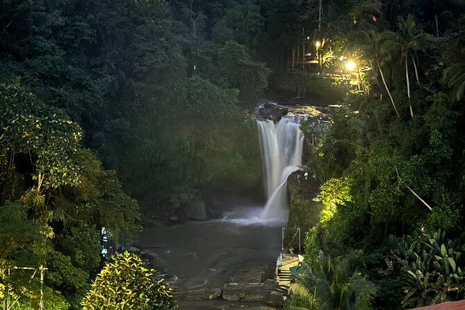 Ubud Day Tour with Private Car & Local Driver - Stop 4: Tegalalang Rice Terraces, the Ubud photo moment