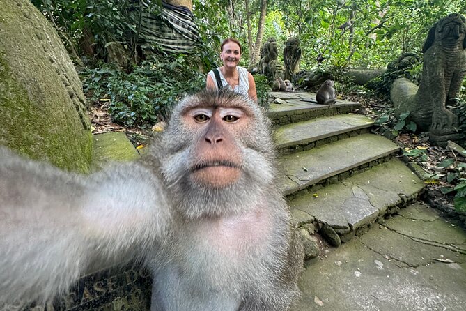Ubud Day Tour with Private Car & Local Driver - Monkey Forest and Batuan, how they fit the day