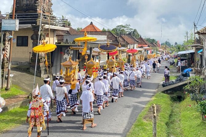 Ubud: Downhill Cycling with Volcano, Rice Terraces and Meal - Who this tour suits best, and who should think twice