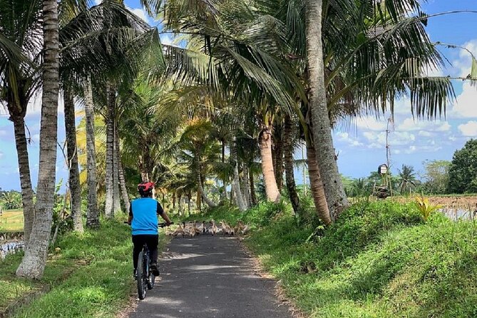Ubud: Downhill Cycling with Volcano, Rice Terraces and Meal - Practical tips to make your day smoother
