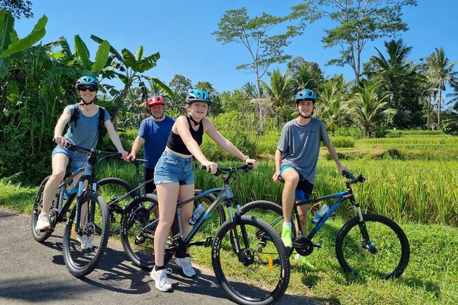 Ubud: Downhill Cycling with Volcano, Rice Terraces and Meal - The real appeal: a small group downhill ride that stays easy