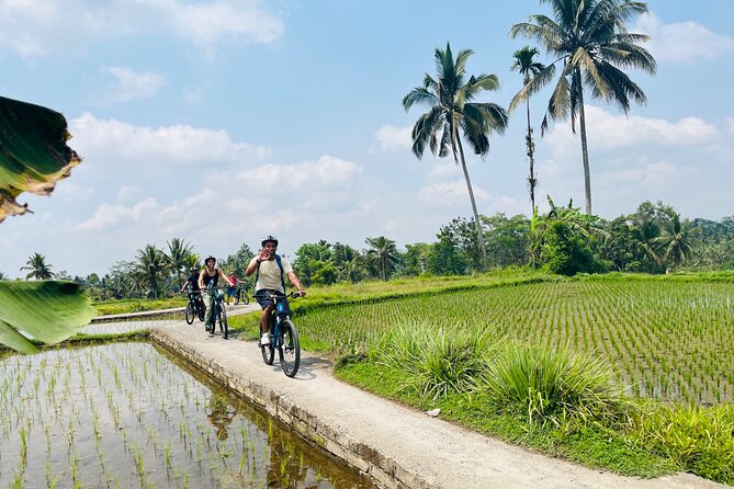 Ubud eBikes Tour to Tegallalang Rice Terrace - The culture stops: compound house and temple time that adds context
