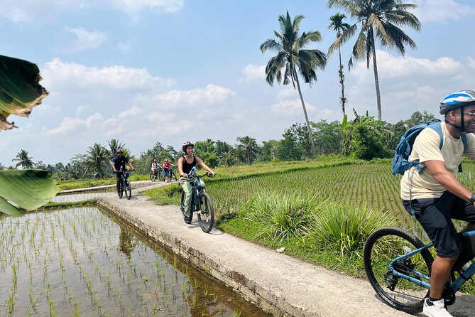 Ubud eBikes Tour to Tegallalang Rice Terrace - Tegallalang Rice Terrace stop: lunch with a view and about 45 minutes to explore