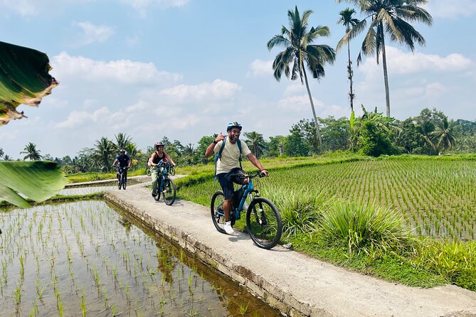Ubud eBikes Tour to Tegallalang Rice Terrace - Coffee and tea tasting, plus flexibility on the day
