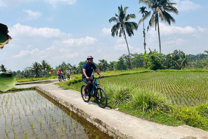Ubud eBikes Tour to Tegallalang Rice Terrace - The small-group advantage: guides like Raika and Agung really matter