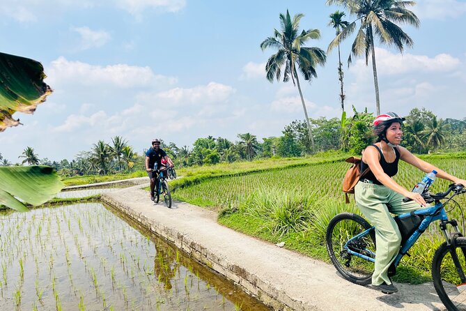 Ubud eBikes Tour to Tegallalang Rice Terrace - Starting point, briefing, and getting your bike sorted