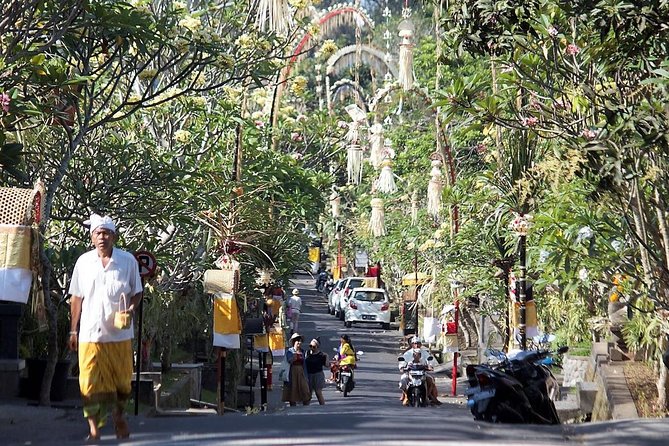 Ubud Eco Culture Cycling Exploration - Abangan and Junjungan Rice Paddies, Coconut Juice, and Downhill Relief