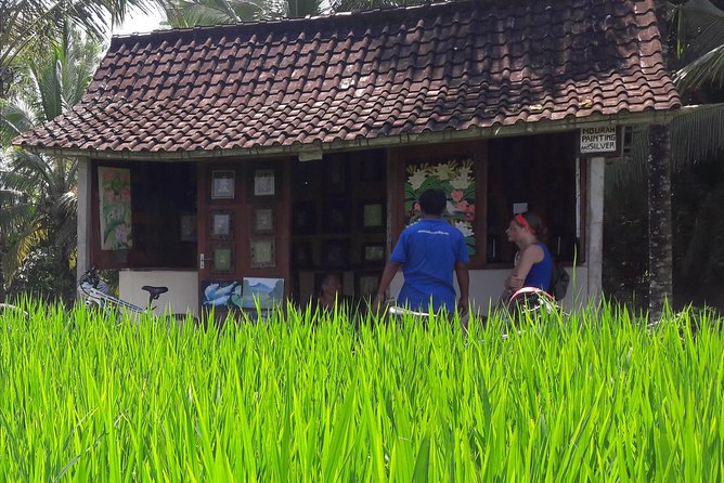 Ubud Eco Culture Cycling Exploration - What You Get for the $30.55 Price, and What You Should Not Expect
