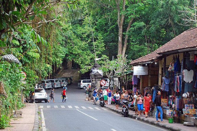 Ubud Eco Culture Cycling Exploration - Who This Ubud Eco Culture Cycling Tour Fits Best