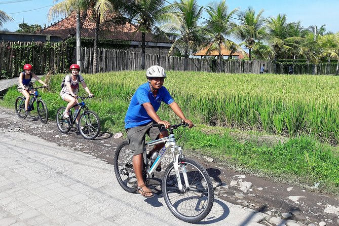Ubud Eco Culture Cycling Exploration - Sukma Street to Monkey Forest, the Morning’s Best Photo Window