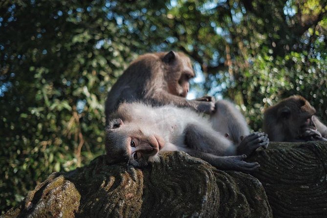 Ubud Excursion: Barong Dance, Art Villages, Nature, Temple and Waterfall - Kemenuh wood carving, plus a gallery twist