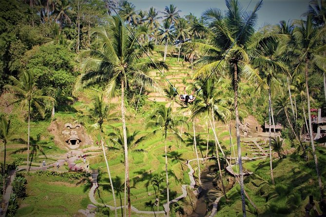 Ubud Experience | Full Day Private Tour in Ubud | FREE WIFI - Sacred Monkey Forest Sanctuary: Cool Shade, Temples Inside, and 700 Monkeys