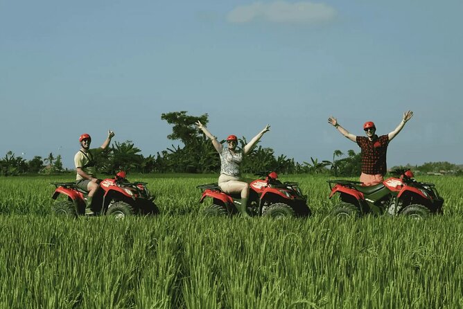 Ubud Full Day ATV Adventure with Rice Terrace and Temple Ritual - Price and value: why $85 can work in your favor