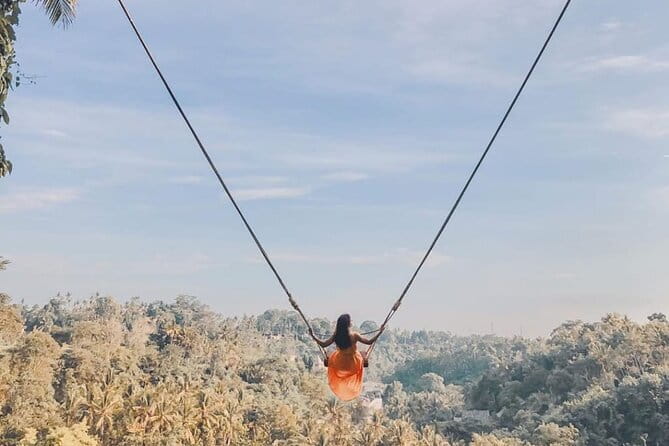Ubud Full Day - Monkey Forest, Rice Terrace and Waterfalls Tour - Morning pickup in Seminyak, then straight to Ubud highlights
