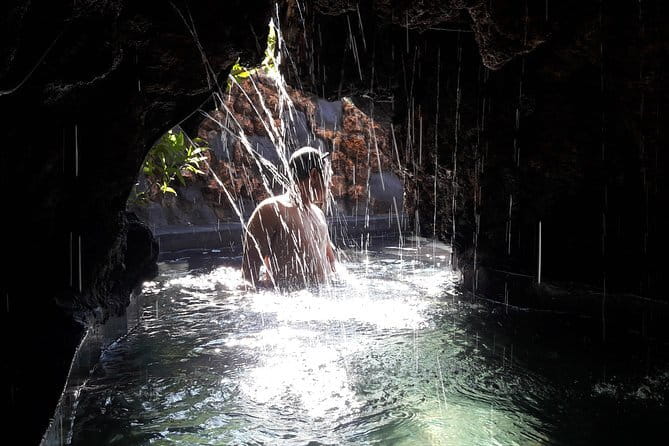 Ubud Full Day - Monkey Forest, Rice Terrace and Waterfalls Tour - Ubud jungle swing: plan for the extra fee