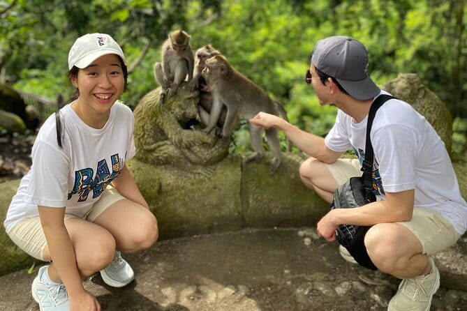 Ubud Full-Day Private Tour: Waterfall, Temple, Rice Terrace. - Price and Logistics: What you are really paying for