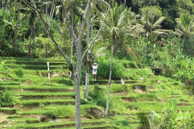 Ubud Half Day Zipline and Jungle Swing - Zipline adrenaline over rice fields: short, sweet, and scenic