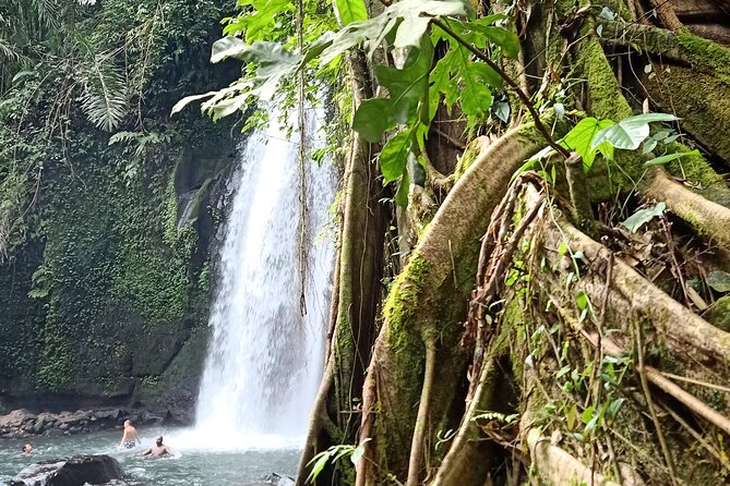 Ubud Half Day Zipline and Jungle Swing - Price and value: what $69.80 covers, and where you might spend more