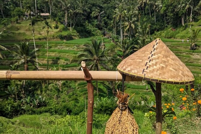 Ubud Half Day Zipline and Jungle Swing - Ubud rice terraces: irrigation views you can actually picture