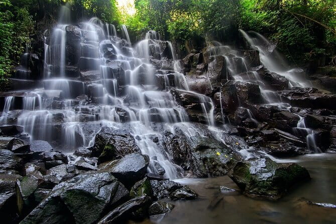 Ubud Hidden Gems Waterfall, Temple and Rice Terraces Private Tour - Tegalalang Rice Terrace: farming views you can actually study