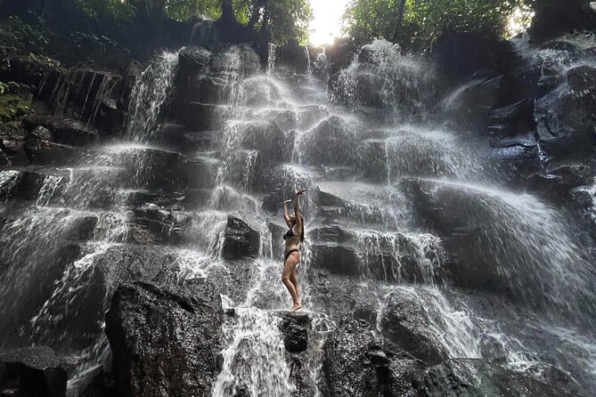 Ubud Hidden Gems Waterfalls and Private tour - Key Things You’ll Notice on This Ubud Waterfall and Rice Terrace Tour