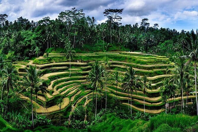 Ubud Highlight Private Charter with Jungle Swing - Price and Value: Why $33.51 Can Feel Like a Deal, If You Plan for Extra Fees