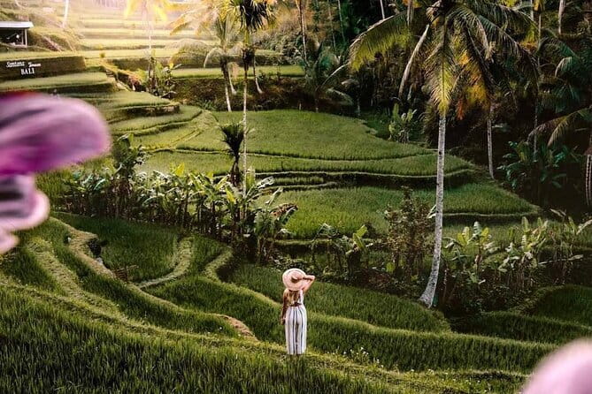Ubud Highlights -Private Tour,Temples, Waterfalls & Rice terraces - Key highlights you will actually care about
