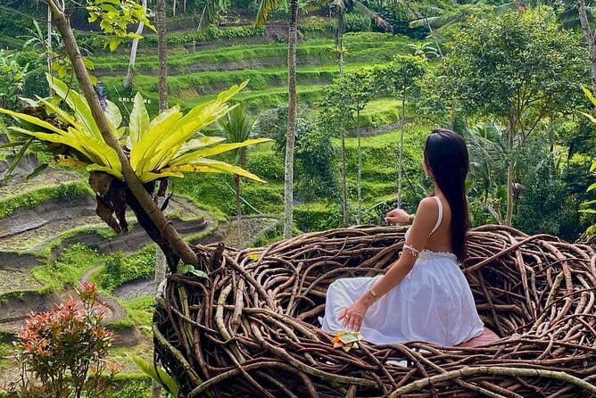 Ubud Highlights -Private Tour,Temples, Waterfalls & Rice terraces - Tegallalang Rice Terrace viewpoints and photo spots