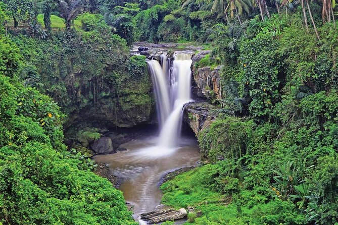 Ubud Highlights Rice Terraces, Temple, Waterfall & Monkeys forest - Price and Tickets: What You Pay For at $27.52