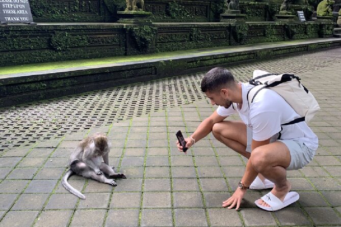 Ubud Higlights Full Day Tour - Private Tour Experience - Tegalalang Rice Terrace and Tri Hita Karana, How Bali Feels on the Ground