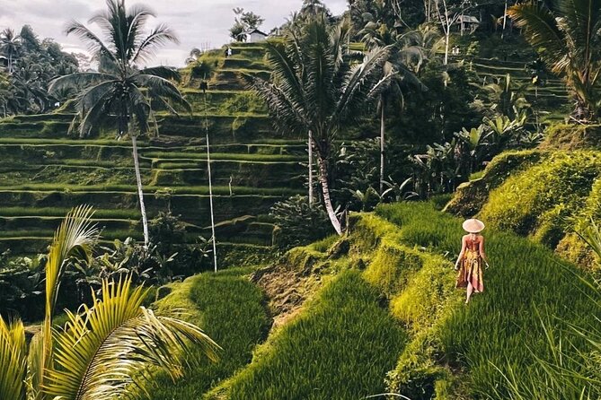 Ubud Higlights Full Day Tour - Private Tour Experience - Timing, Pace, and Group Size, What an 8-Hour Day Feels Like
