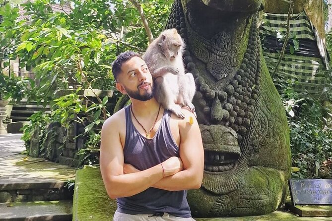 Ubud Higlights Full Day Tour - Private Tour Experience - Tegenungan Waterfall, Plan for Wet Shoes and Great Photos
