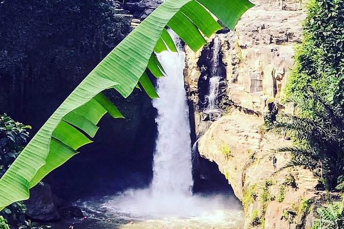 Ubud iconic waterfall and temple tours - Sacred Monkey Forest Sanctuary: the Ubud stop that needs basic patience