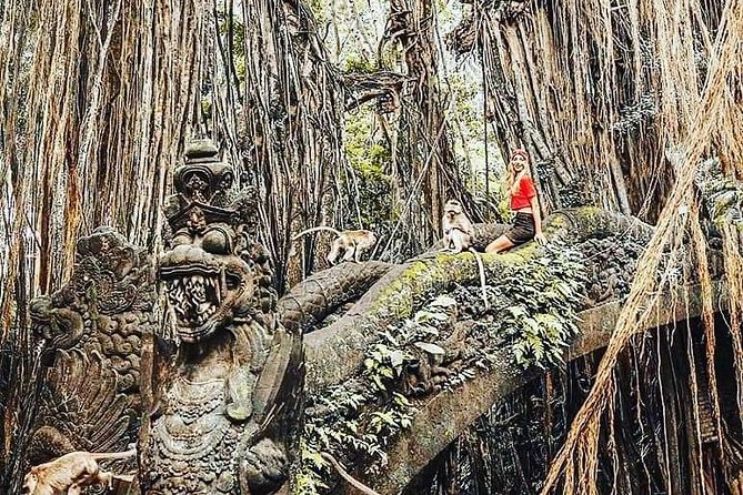 Ubud iconic waterfall and temple tours - Tegalalang Rice Terrace: where the views come with activities