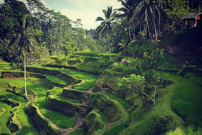Ubud iconic waterfall and temple tours - Pickup, comfort, and why the ride matters more than you think