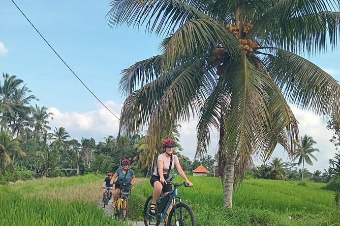 Ubud : Kintamani Downhill Cycling Tour with Lunch - Price and What Actually Makes This Feel Like Value