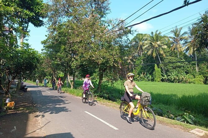 Ubud : Kintamani Downhill Cycling Tour with Lunch - Pura Desa Malet Gusti: Temple Grounds, a School Visit, and Local Life