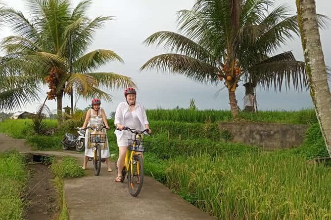 Ubud : Kintamani Downhill Cycling Tour with Lunch - The 6-Hour Rhythm, From Bayung Gede to Tampaksiring