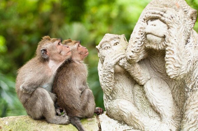 Ubud Kintamani Tour - Key highlights at a glance